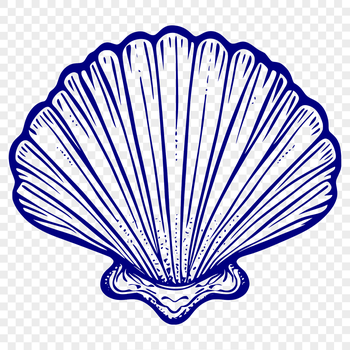 A detailed illustration of a seashell in various shapes and sizes.