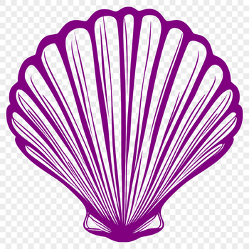 A hand-drawn vector illustration of a seashell, ideal for crafting projects and designs.