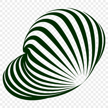 A hand-drawn vector illustration of a large, spiral-shaped seashell with intricate details.