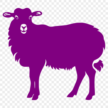 A full-body illustration of a sheep, suitable for digital designs and vector art.