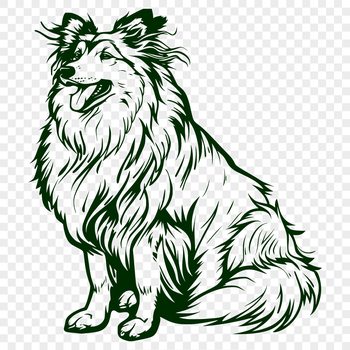 A sitting Shetland sheepdog depicted in a simple vector illustration.