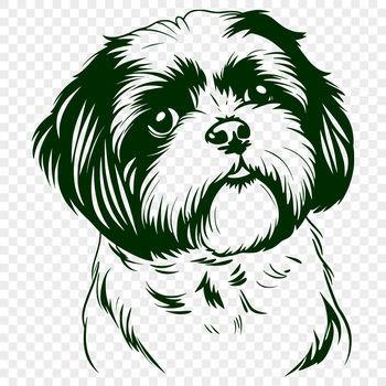 A detailed illustration of a Shih Tzu's head, suitable for digital design projects.