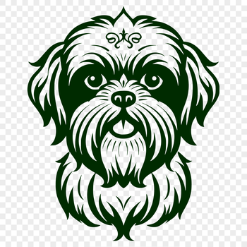 A close-up view of a Shih Tzu's head with distinctive facial features.
