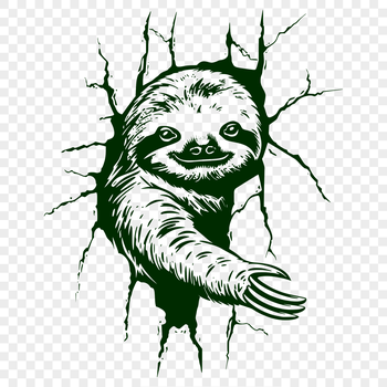 A sloth's head in detail, featuring its distinctive fur and facial features.