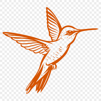 A colorful illustration of a hummingbird in mid-flight, its full body visible as it soars through the air.