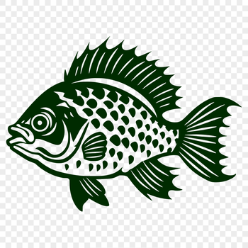 Artistic Fish Design