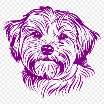A small to medium-sized dog breed with a fluffy coat, shown from the side with its head held high.