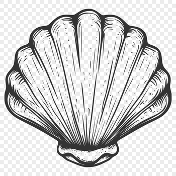 A decorative seashell design created in vector format.