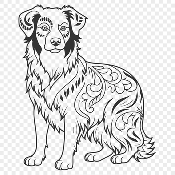 A full-body illustration of a standing Australian Shepherd dog.