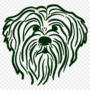 A simple line drawing of the head of a Havanese dog breed with clean lines and minimal details.