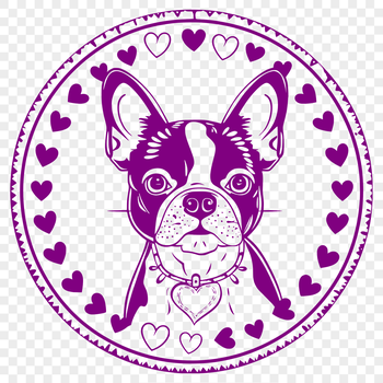A small breed dog with a distinctive head shape and loving expression, suitable for clip art designs.