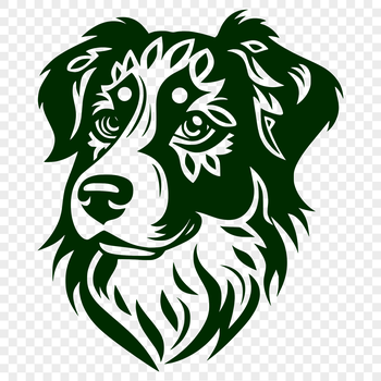 Australian Shepherd dog breed illustration.