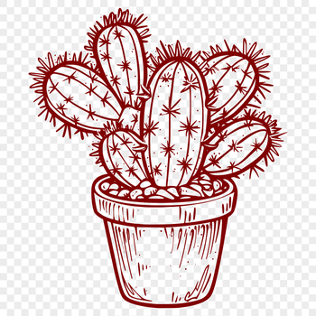 A simple vector design of a cactus plant with rounded shapes and bold lines.