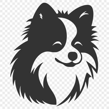 A small breed dog with a fluffy head and coat.
