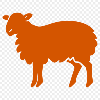 A detailed illustration of a farm animal's full body, showcasing its features.