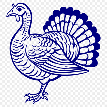 A detailed illustration of a farm animal, specifically a turkey in its full body form.