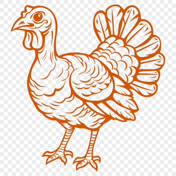 Illustration of a full-bodied turkey with detailed features.
