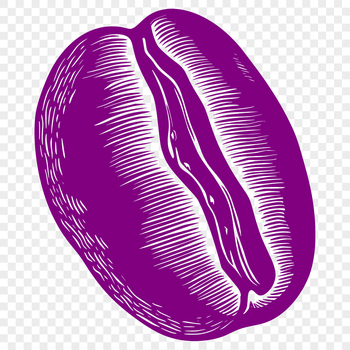 A detailed illustration of a single coffee bean with rounded edges and visible texture.