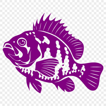 A high-quality vector art representation of a full body crappie in profile view.