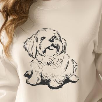 Free Havanese Digital Drawing