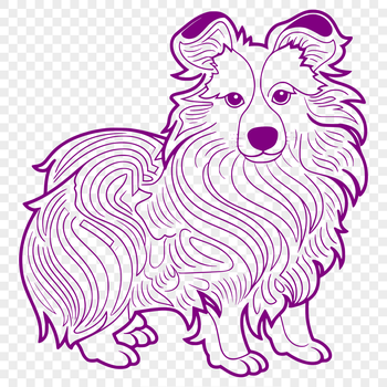 A detailed illustration of a Shetland sheepdog in its full body form.