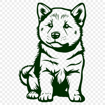A sitting Shiba Inu dog with fluffy fur, depicted in a stylized vector format.