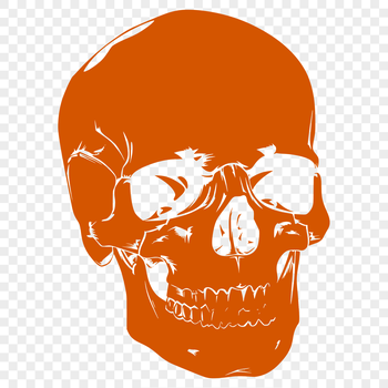 A stylized illustration of a skull with intricate details.