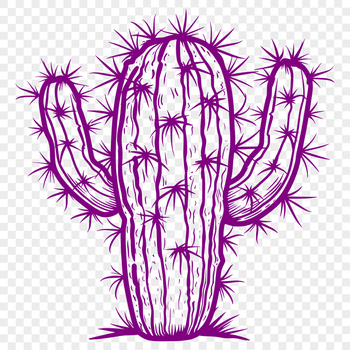 Free Beautiful Cactus Clipart