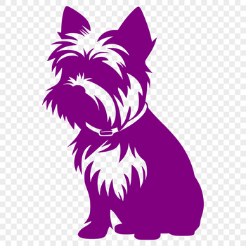 A small breed dog with a distinctive coat pattern is shown in a full-body pose.