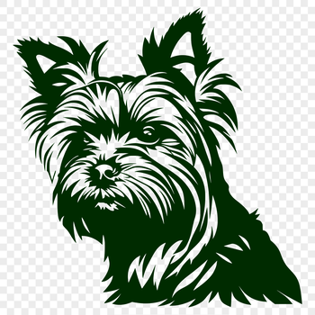 A close-up illustration of a small dog's head, specifically a Yorkshire Terrier breed.