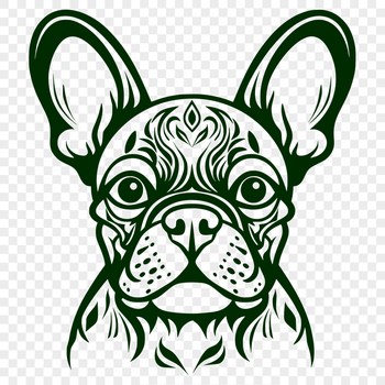 Stunning French Bulldog PNG