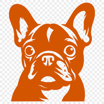 A vector illustration of a French Bulldog's head, featuring the breed's distinctive characteristics.