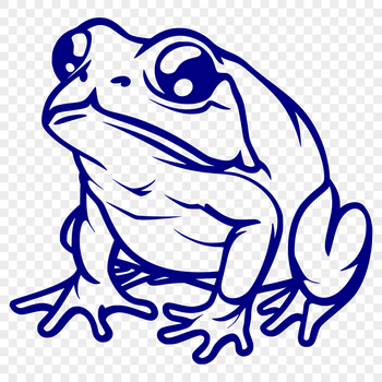 A detailed, full-body illustration of a toad in a naturalistic pose.