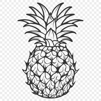 Beautiful Pineapple - PNG Format