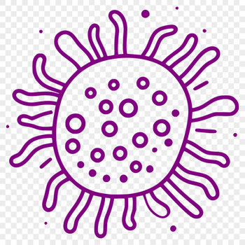 Vector illustration of bacteria in microscopic detail