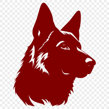 Creative German Shepherd Image