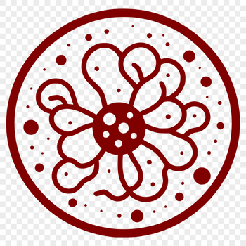 A detailed vector illustration of a single bacteria cell.