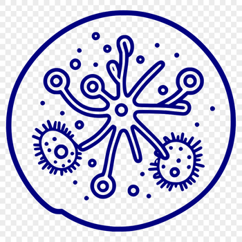 High-resolution SVG representation of bacterial cells.