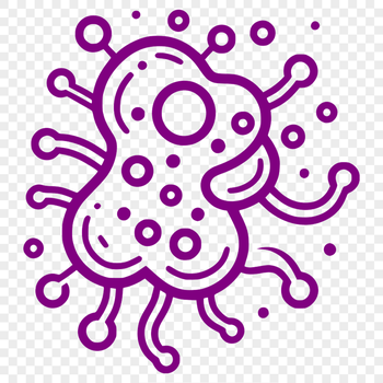 An illustration of a single bacterial cell with labeled parts, suitable for educational or medical contexts.