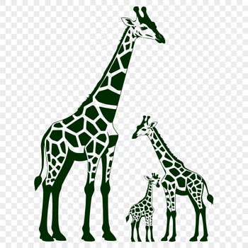 A tall mammal with long neck and legs, native to savannas and grasslands, commonly found in African wildlife.