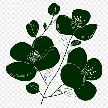 Illustrated wild flower graphic for digital use.