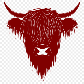 A close-up image of a Highland cow's head with rugged features.