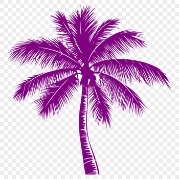 A single palm tree isolated on a white background, ideal for graphic design projects.