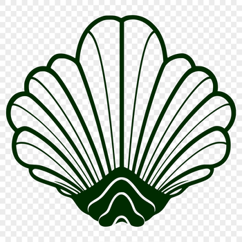 A detailed illustration of a seashell, perfect for seaside and vacation-themed designs.