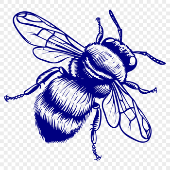 A detailed illustration of a bee in full body view, suitable for various digital and craft projects.