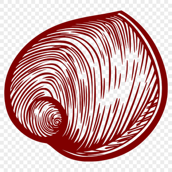 A vector illustration of a seashell, perfect for seaside-themed designs or vacation projects.
