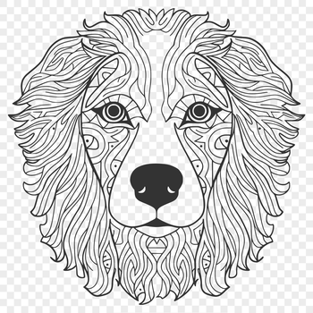 A detailed illustration of the head of a typical Australian Shepherd dog breed.
