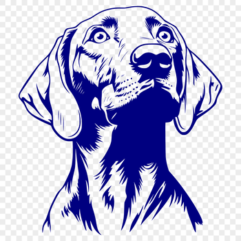 A vector illustration of a Weimaraner dog breed with detailed fur texture and realistic features.