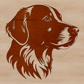A detailed illustration of a golden retriever's head, suitable for vector design and cut-out projects.