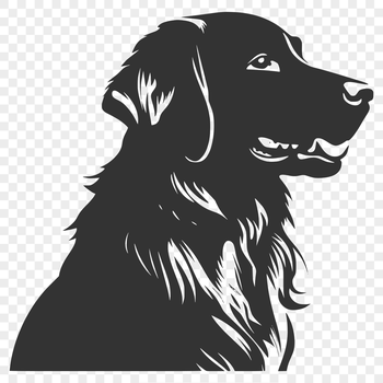 A vector illustration of a golden retriever dog breed in various poses.